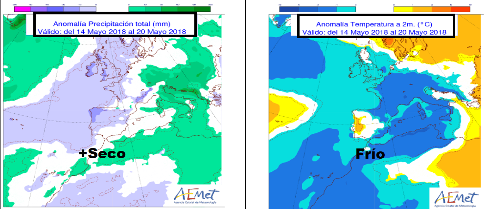 Anomalías en la temperatura y precipitación AEMET. Meteosojuela