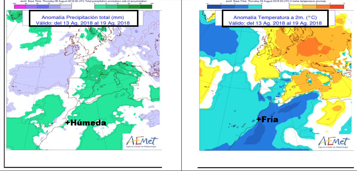 Anomalías en la temperatura y precipitación AEMET. Meteosojuela
