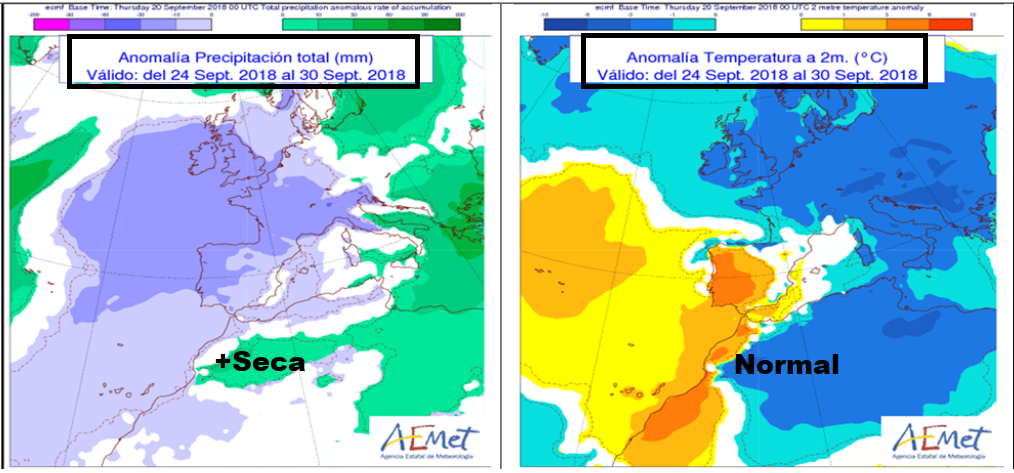 Anomalías en la temperatura y precipitación AEMET. Meteosojuela