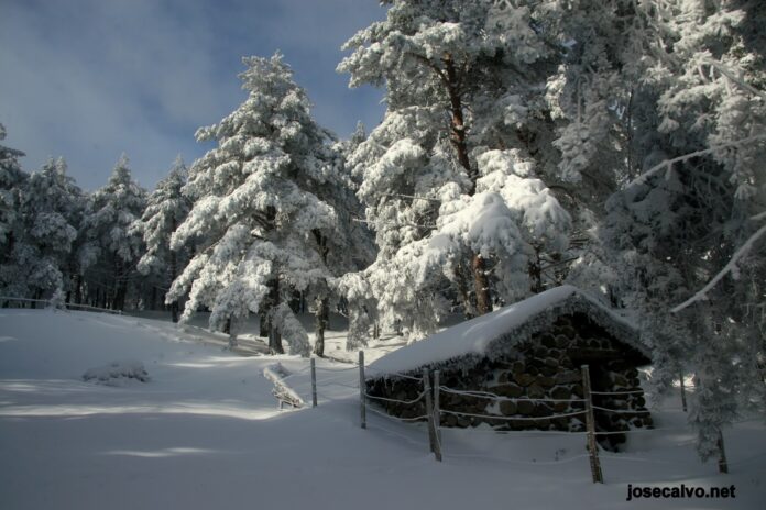 meteosojuela 02dic2012_EXCURSION NEVERAS_2868