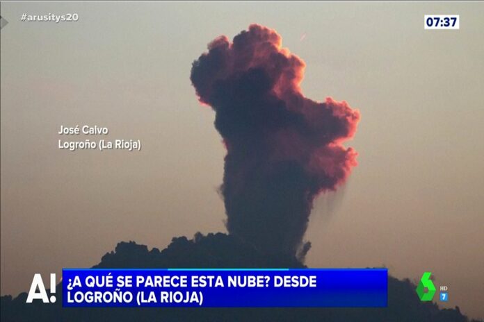 perrito la sexta meteosojuela perrito la sexta meteosojuela
