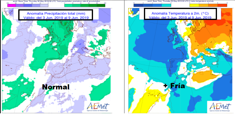 Anomalía de temperatura y precipitación AEMET. Meteosojuela