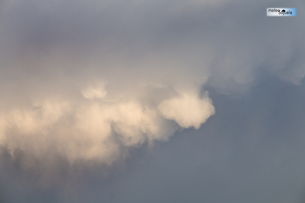 MAMMATUS Y ARCO IRIS IMG_3694.orig1300CON