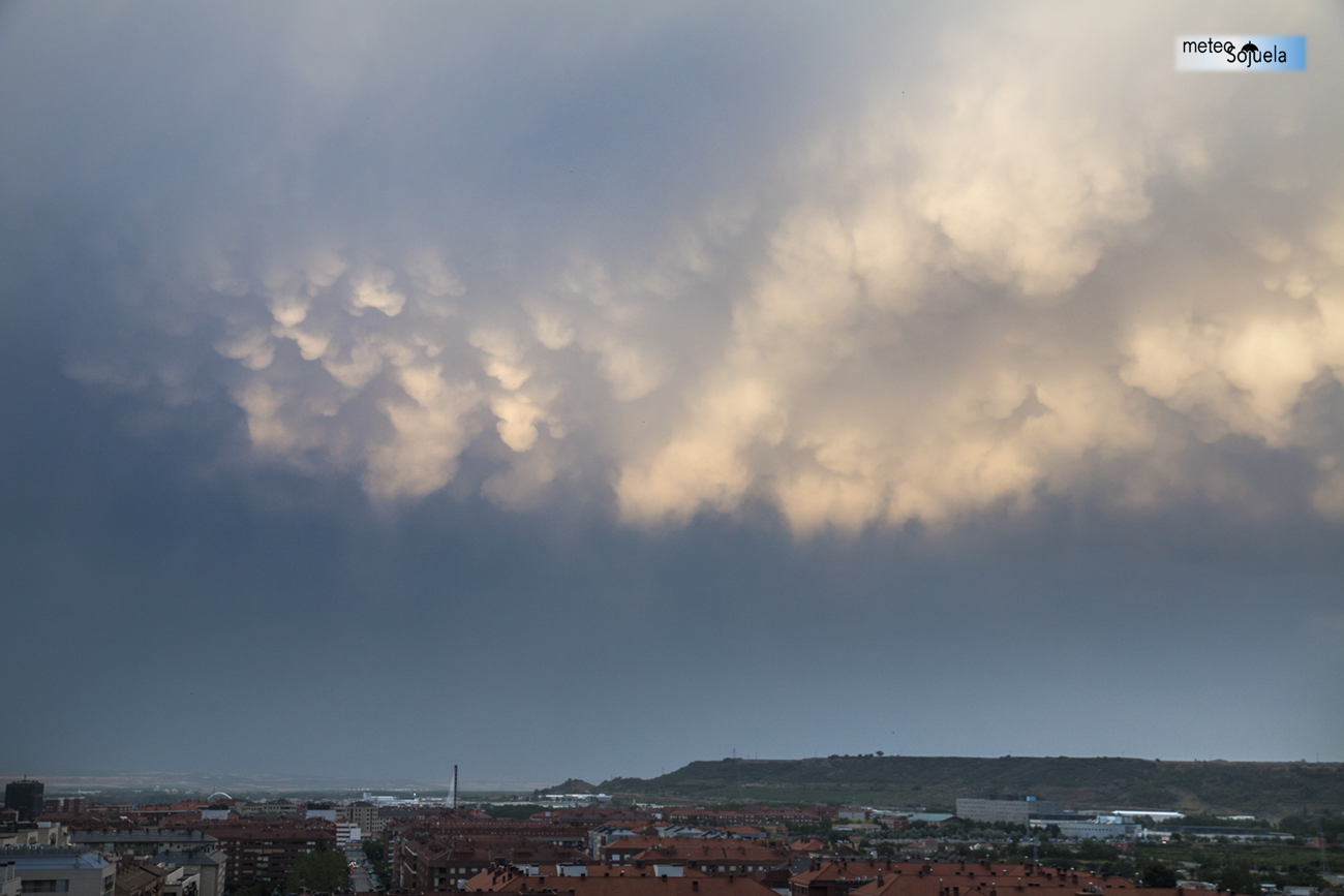 MAMMATUS Y ARCO IRIS IMG_3694.orig1300CON