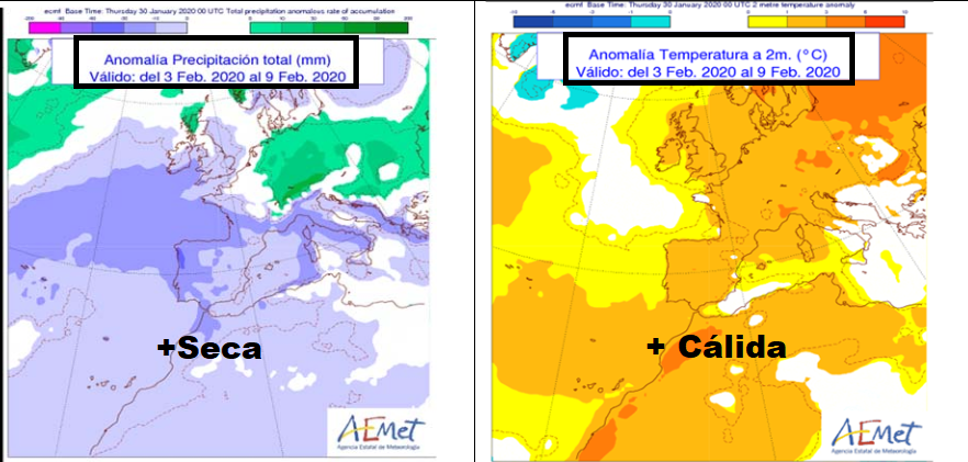 Anomalía de temperatura y precipitación AEMET. Meteosojuela