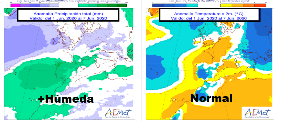 Anomalía de temperatura y precipitación AEMET. Meteosojuela