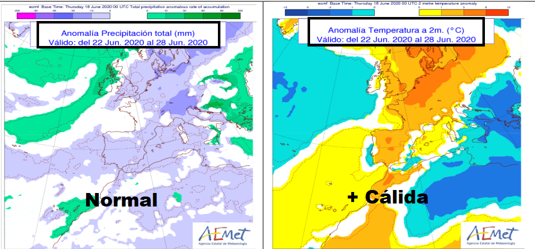 Anomalía de temperatura y precipitación AEMET. Meteosojuela