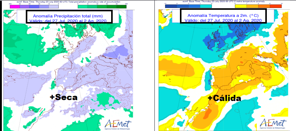 Anomalía de temperatura y precipitación AEMET. Meteosojuela