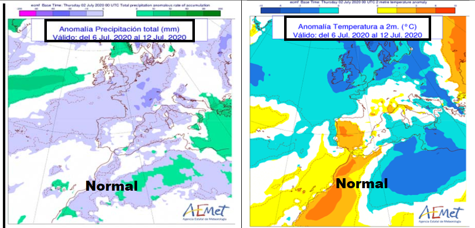 Anomalía de temperatura y precipitación AEMET. Meteosojuela