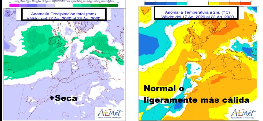 Anomalía de temperatura y precipitación AEMET. Meteosojuela