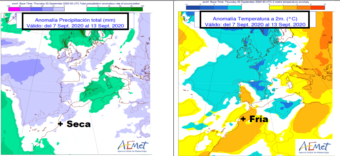 Anomalía de temperatura y precipitación AEMET. Meteosojuela