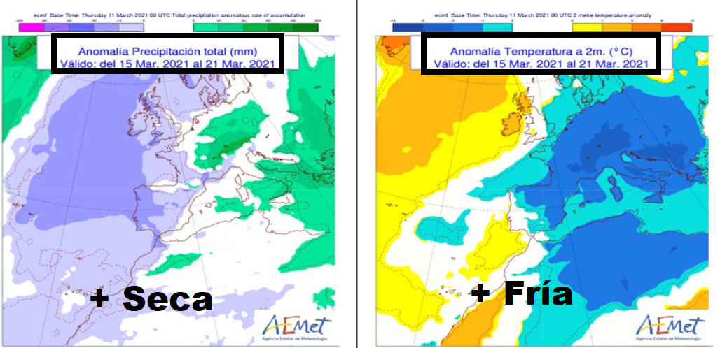 Anomalía de temperatura y precipitación AEMET. Meteosojuela