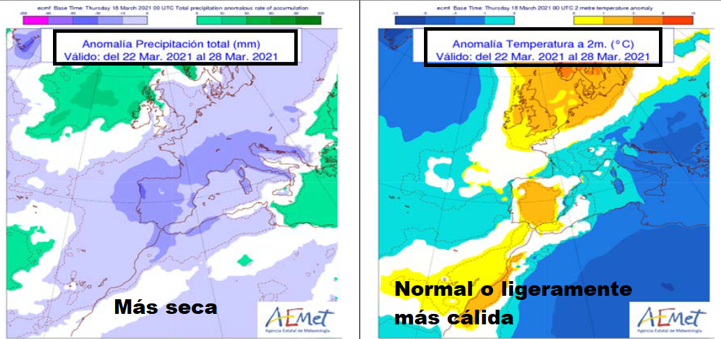 Anomalía de temperatura y precipitación AEMET. Meteosojuela