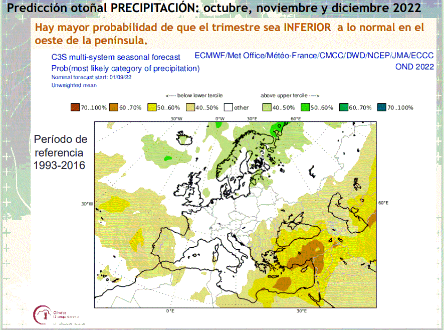 Predicción estacional precipitación ECMWF Meteosojuela