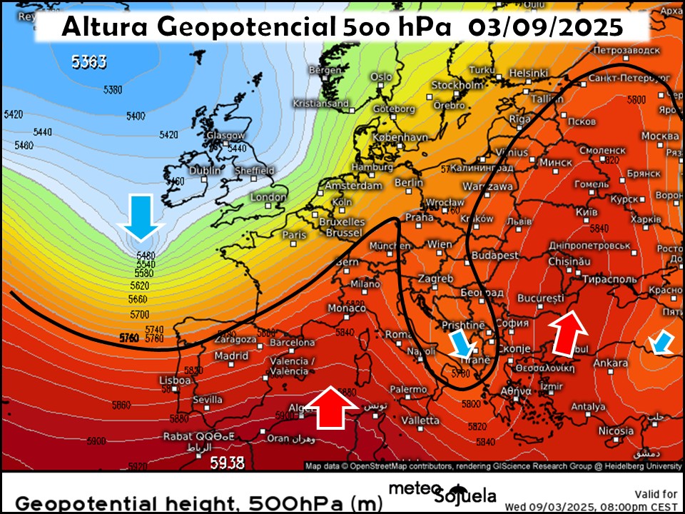 Vaguada en el NW y Dorsal en el Mediterráneo