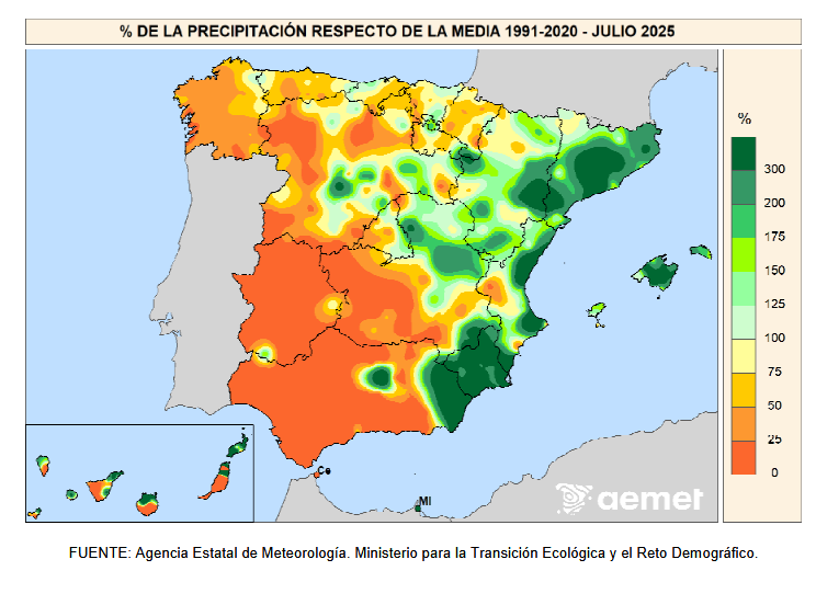 _ de Precipitación Julio 2025