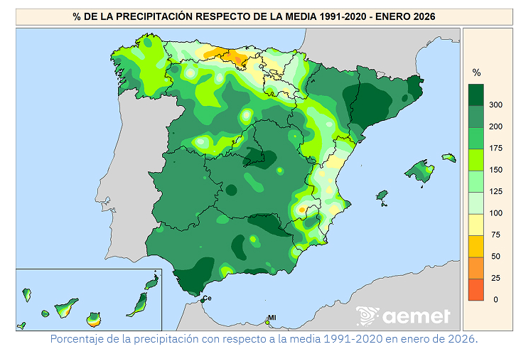 Porcentaje de Precipitación Enero 2026