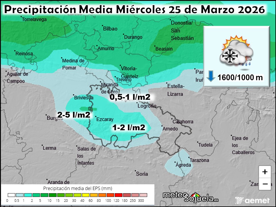 Precipitación Media según AEMET