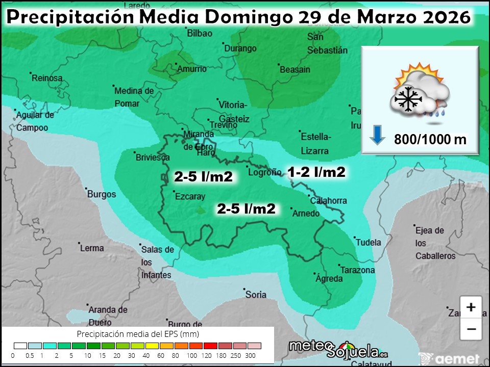 Precipitación Media según AEMET