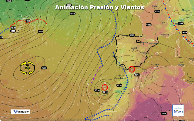 Animación presión y viento, BFA y Calima