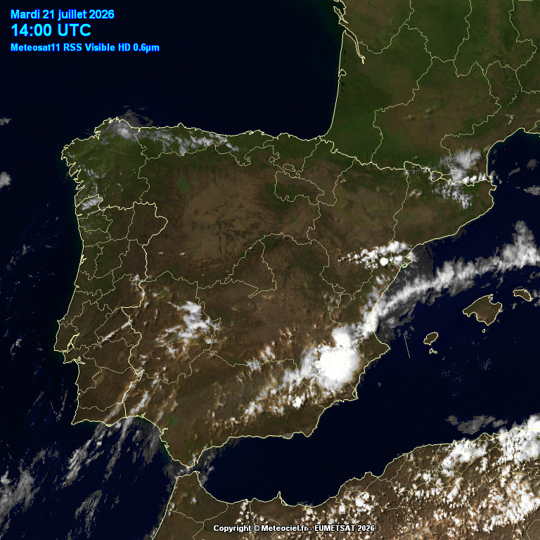 Animación imágenes satélite Meteosat. Nubosidad de evolución e incendios
